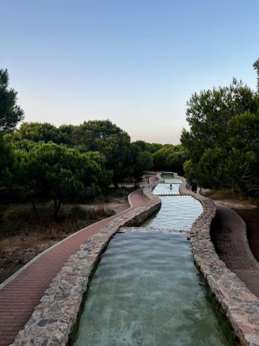 Apartament Viajeros Vinamar VII La Mata  Bagian luar foto
